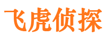 铜川市调查公司